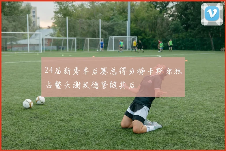 24届新秀季后赛总得分榜卡斯尔独占鳌头谢泼德紧随其后